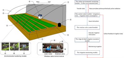 The development of variable system-based internet of things for the solar greenhouse and its application in lettuce